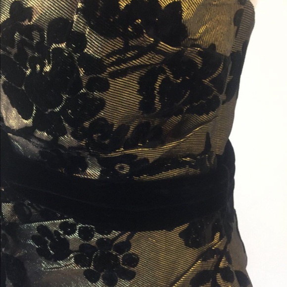 Silk Metallic Gold/Black Velvet Bustier - Picture 4 of 6